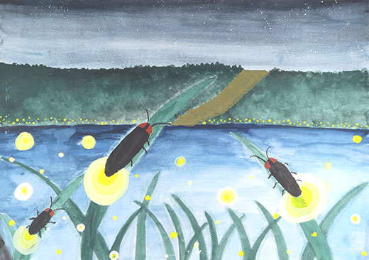 田舎の空とホタル