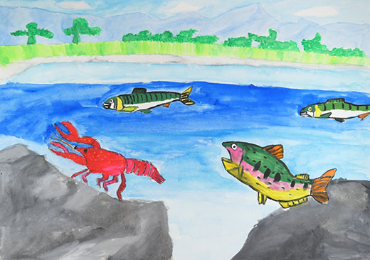 きれいな川に住む生き物