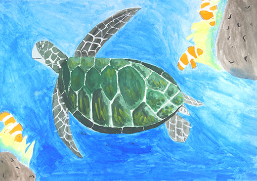 きれいな水で生き物も