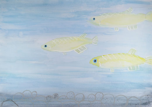 水の力で生きるメダカ