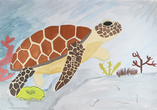 優雅に泳ぐウミガメ