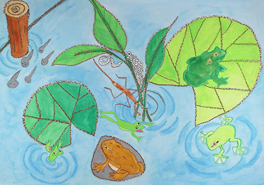 しぜんに生きる水の生き物たち