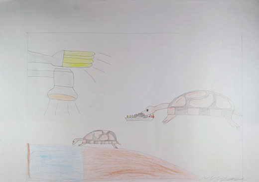 生き物が生きるためのかんきょう