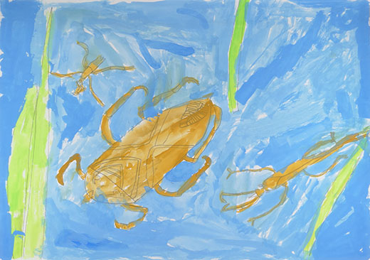 田んぼの生物たち