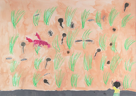 田んぼの生き物