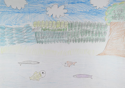 魚がたくさんくらす川