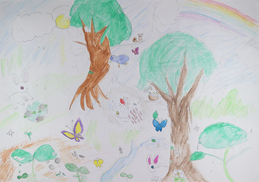 美しい水と生きもの