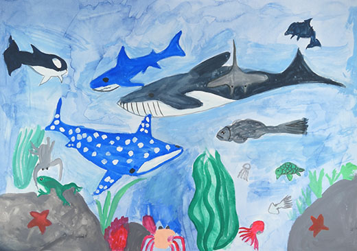 水の生き物たちが元気におよいでいるようす