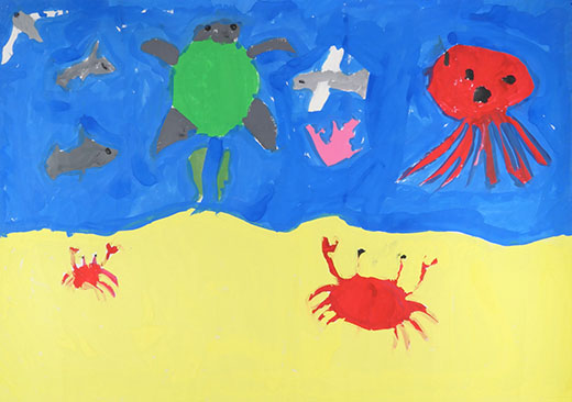 きれいな海といっぱいな生き物