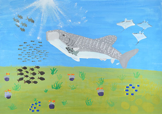 会えなかったジンベイザメ