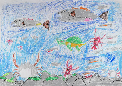 生き物いっぱいの海に