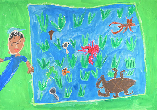 きれいな田んぼのタガメとぼく