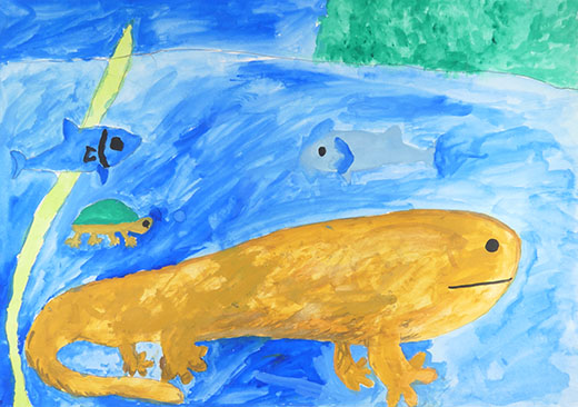 めずらしい生き物のすむ、水のきれいな川