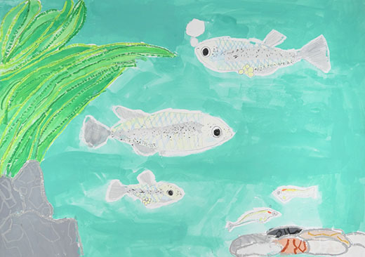 めだかのやさしさ