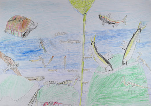 きれいな川の中の生物