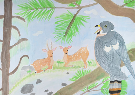 生き物たちが暮らす森