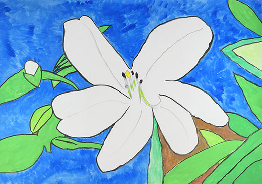 きれいな空気の中でさくゆりの花