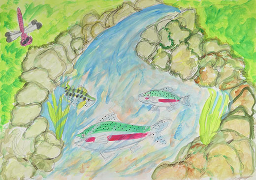 きれいな川の魚たち