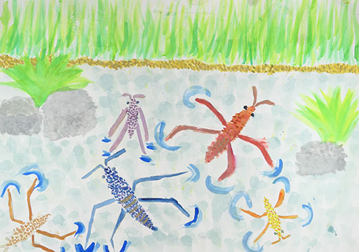 にじ色のあめんぼ