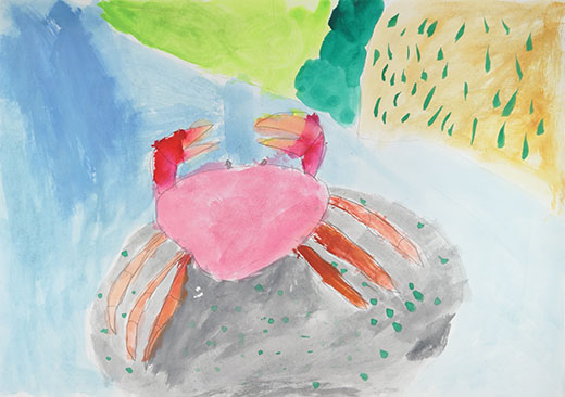 川の生きもの　サワガニ