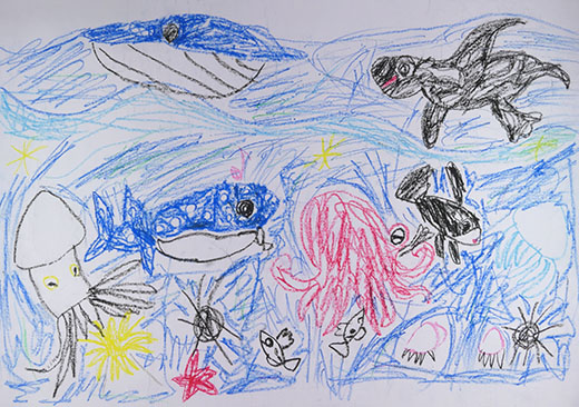 うみのいきもの