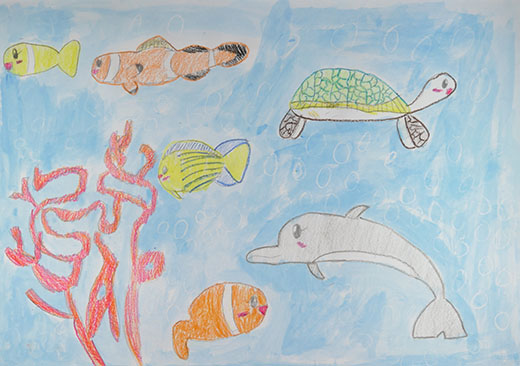 きれいな海にいろんな生きもの