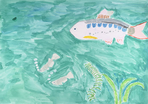 アマゴとメダカ