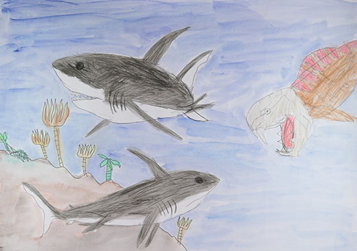 メガロドンとダンクルオステウス