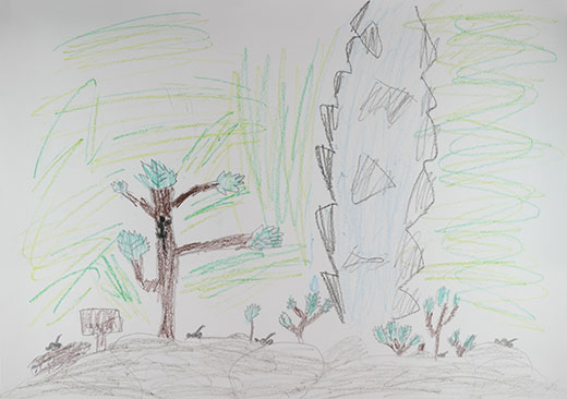 イモリがいっぱい