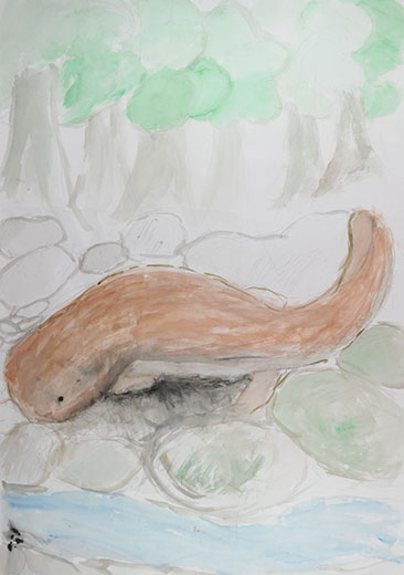 生きろ！オオサンショウウオ