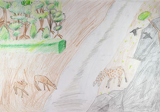 緑と水を大切に