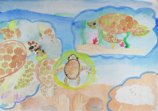 ウミガメほご活動