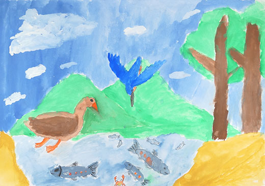 川でくらす魚と鳥