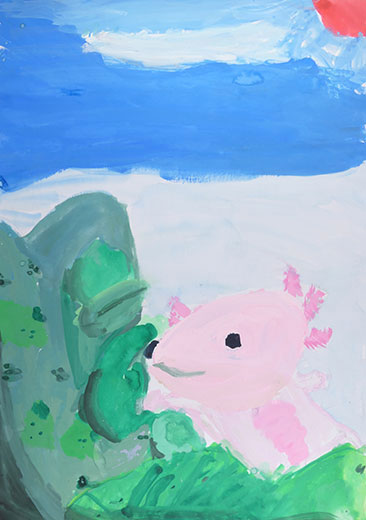 ウーパーちゃんはきれいな水が大すき