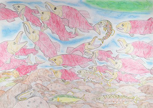 清流にすむ魚たち