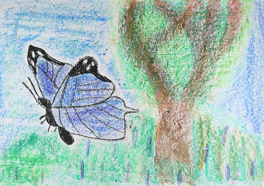 チョウのまほう