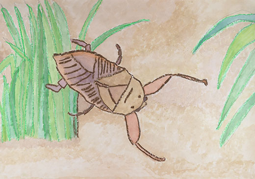 つよいぞタガメ