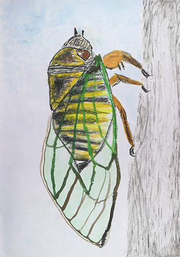 シャーシャーシャーシャーシャー