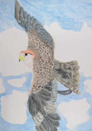 空飛ぶハヤブサ