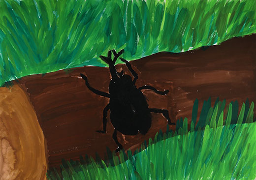 そだてたよカブトムシ