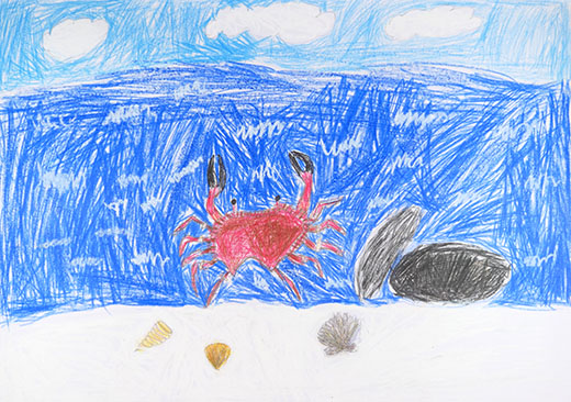 きれいな海とカニ