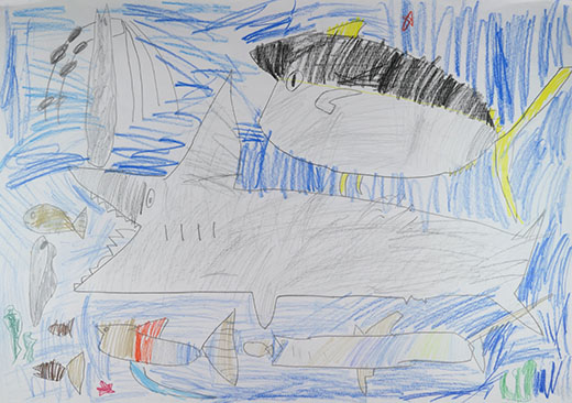 海の中の生きものたち