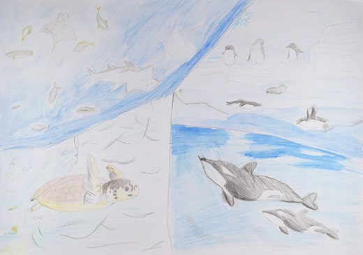 いろいろな海の生き物たち