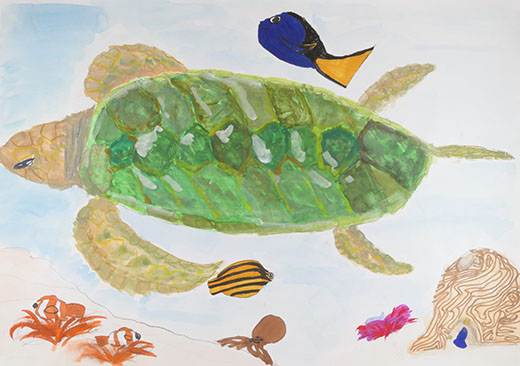 カメはきれい好き