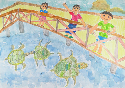 ウミガメにえさやり