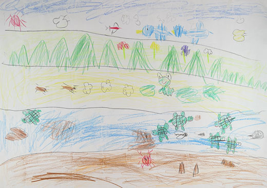 水辺のまわりの生き物たち