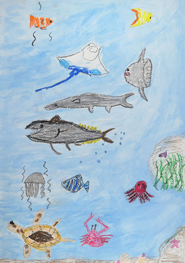 きれいなうみでおよぐさかなたち