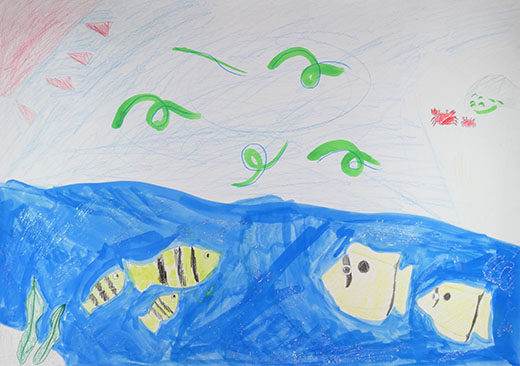 風も水もきれいな海