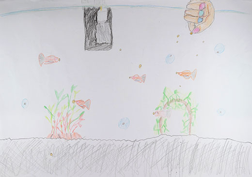 メダカのえさあげ