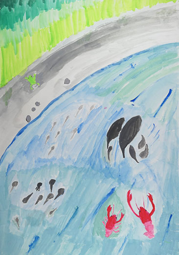 生き物たちの用水路